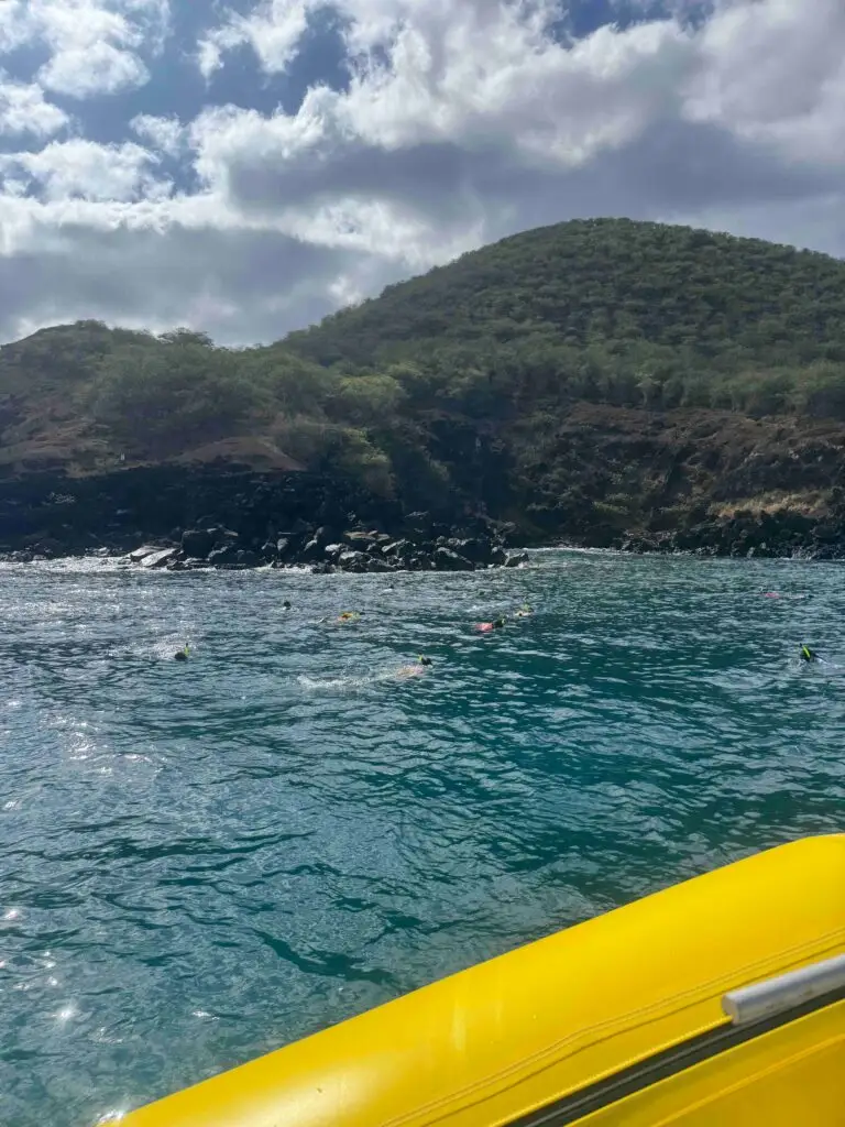 mauisnorkelcharters