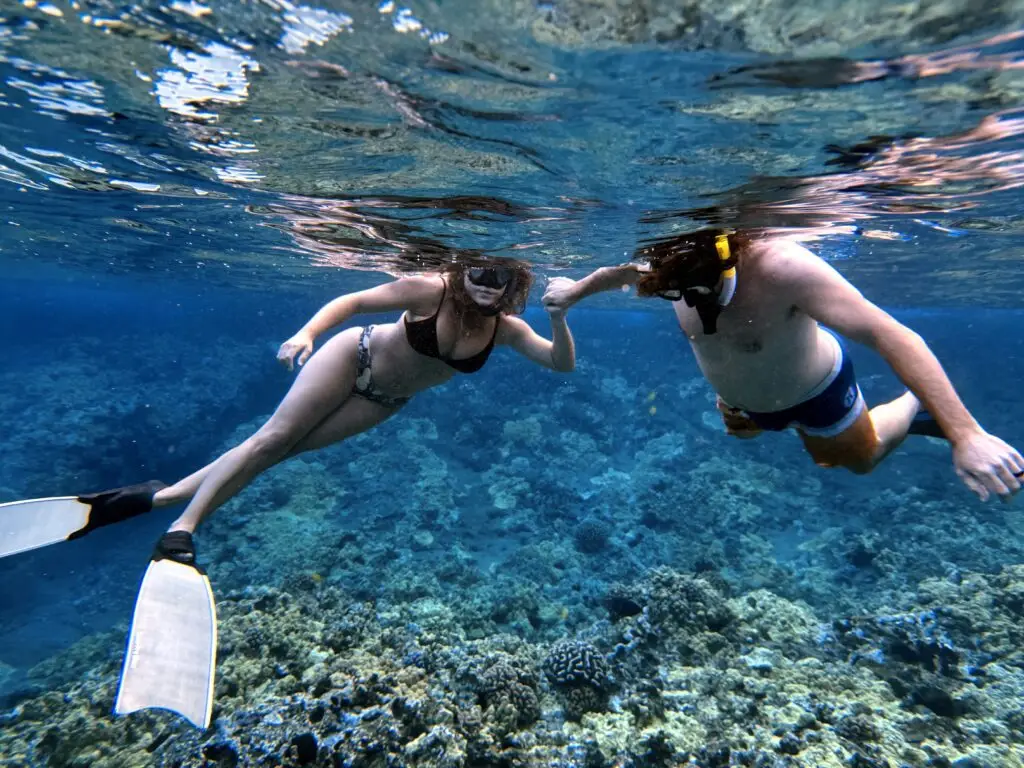 mauisnorkelcharters