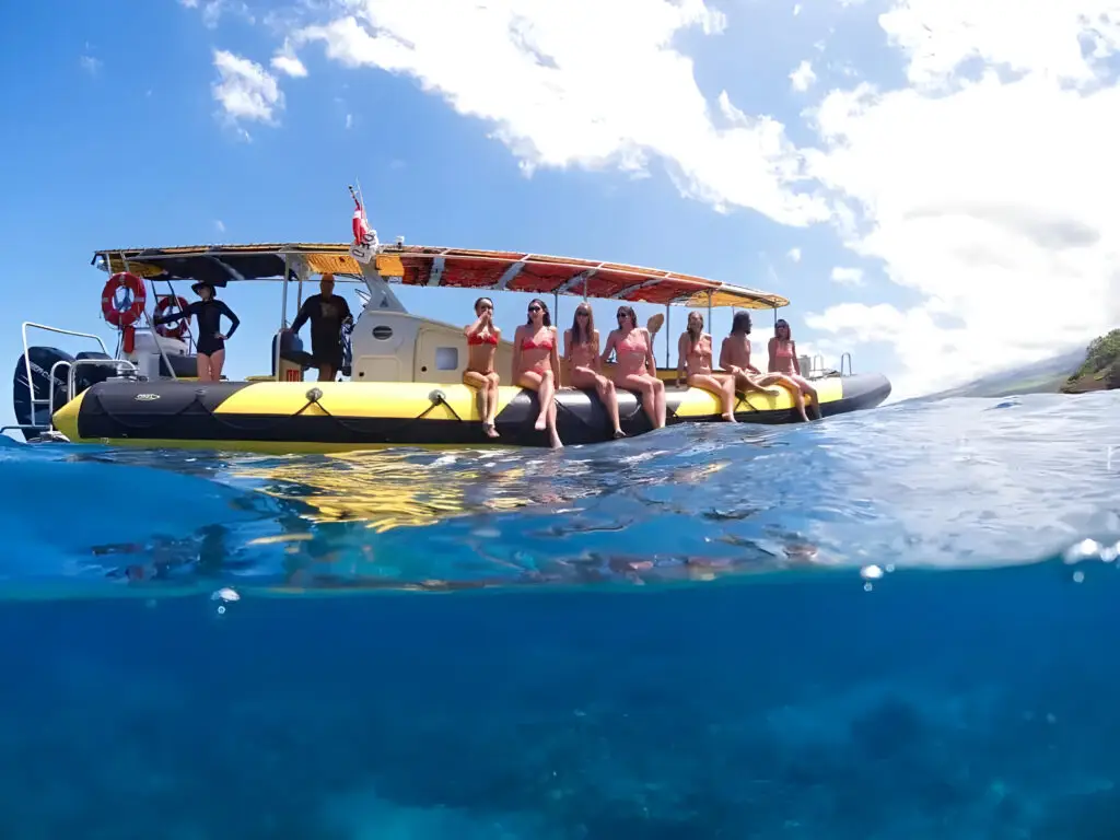 Molokini Snorkeling Tours