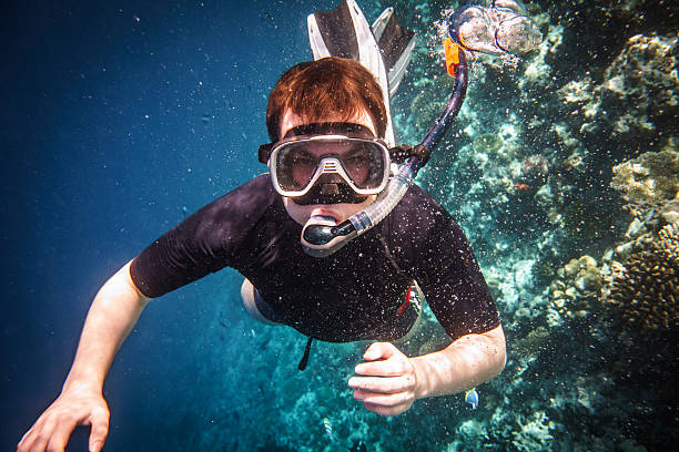 Private Snorkeling