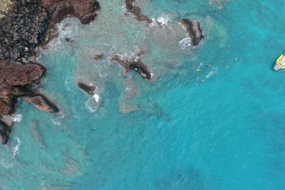 Lanai snorkel trip