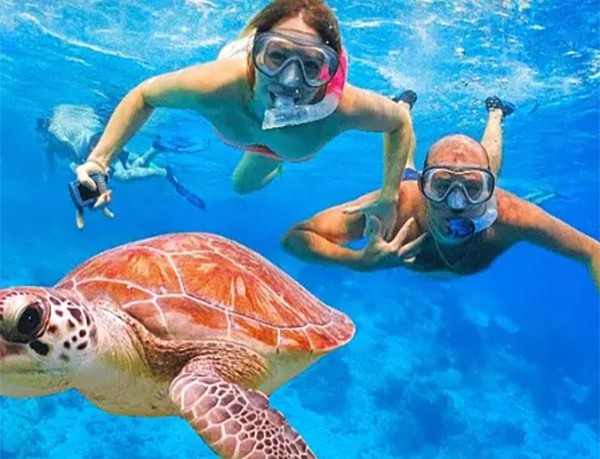 Snorkel