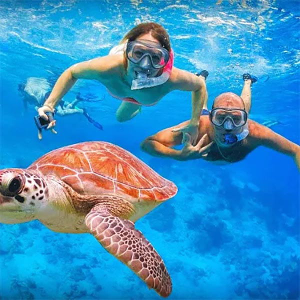 Maui Snorkel Charters | Best Snorkeling in Kihei Maui