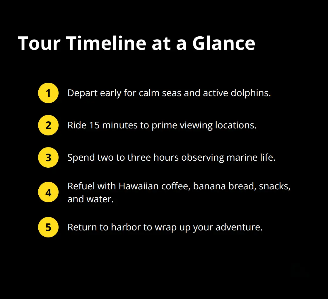 Compact tour timeline showing early departure, short transit, time in water, onboard refreshments, and return. - Dolphin encounter Maui tour