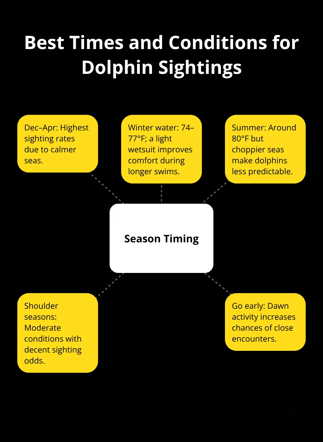 Hub-and-spoke diagram showing peak season, water temperatures, and how conditions affect dolphin predictability. - Dolphin encounter Maui tour