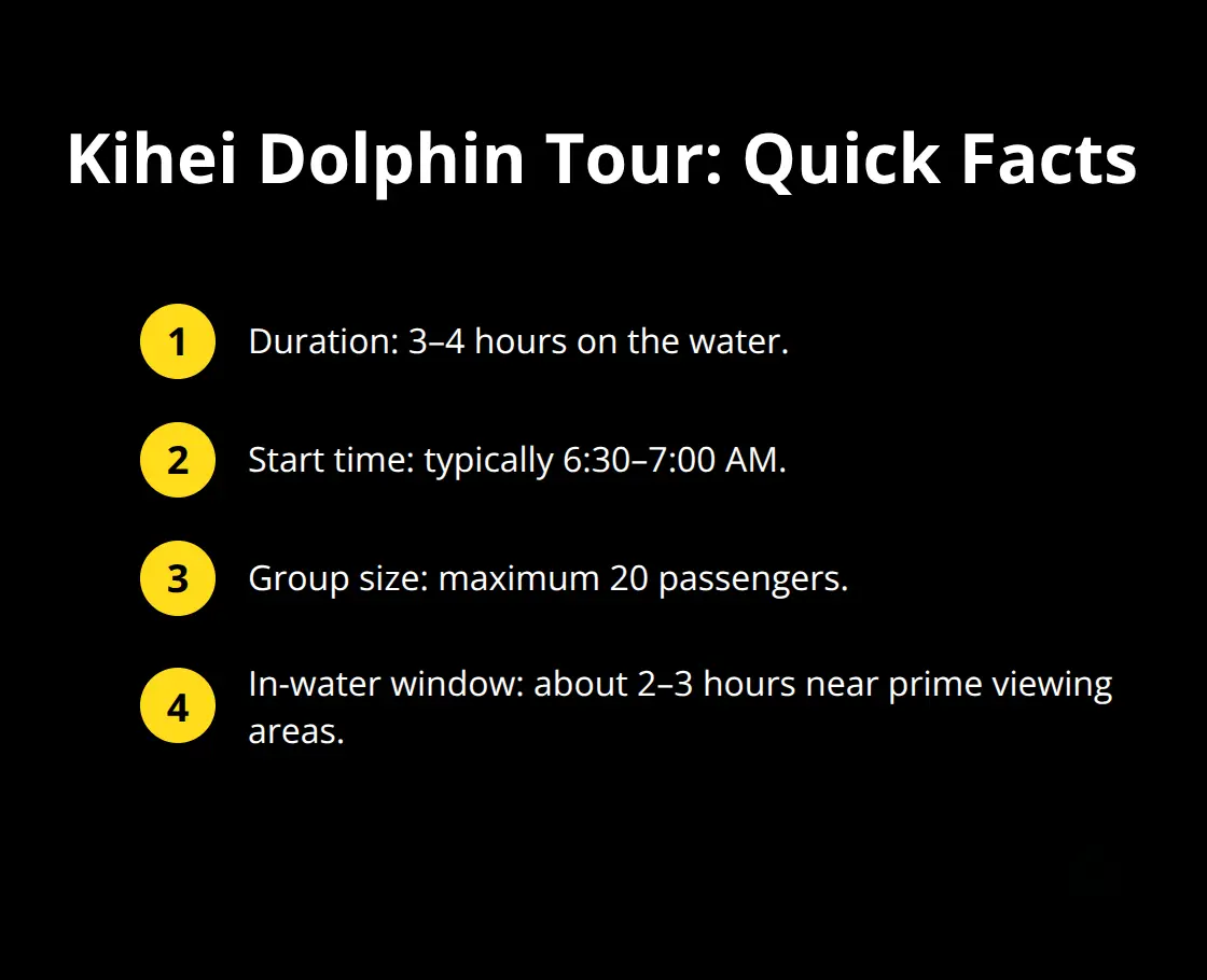 At-a-glance tour facts including duration, start time, group size, and time in the water. - Dolphin encounters Kihei tour