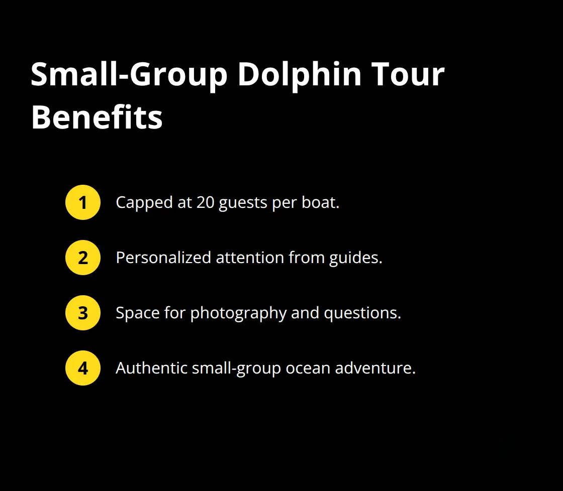 Key benefits of Maui small-group dolphin tours with a 20-guest cap