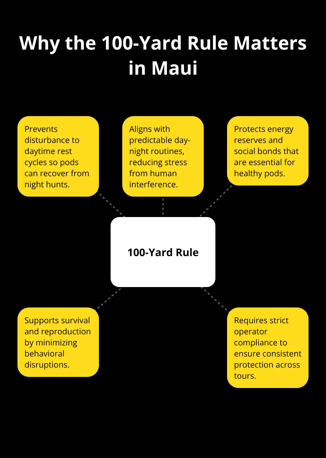 How the 100-yard distance rule protects spinner dolphins in Maui - Dolphin encounters Maui tour