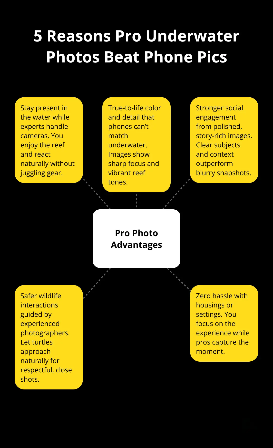 Visual showing key advantages of professional underwater photography on Maui - Free onboard photos Maui