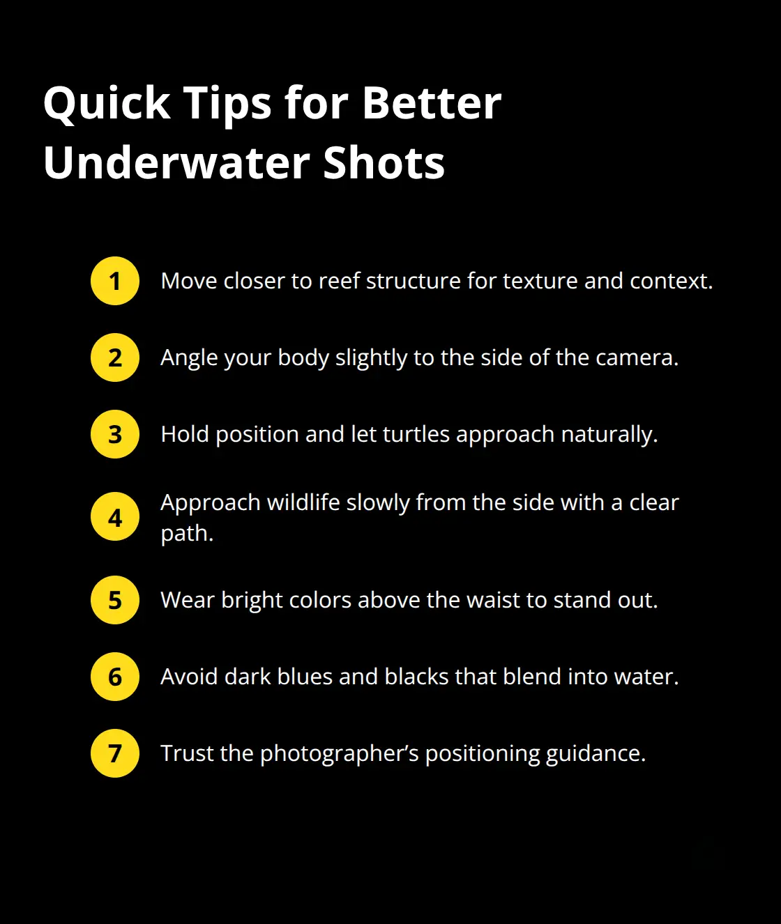 Compact list of positioning and etiquette tips for underwater photos - Free onboard photos Maui