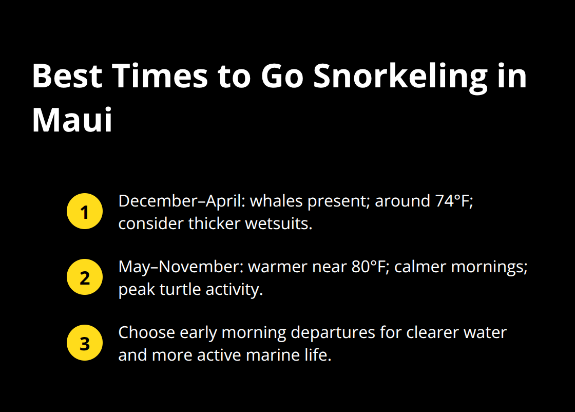 Quick guide to seasons, water temps, and ideal departure times for Maui snorkeling