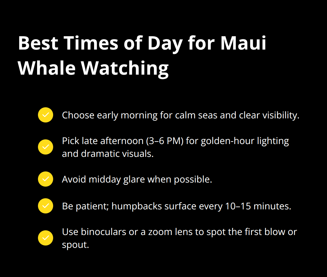 Maui Snorkel Charters | Maui Whale Watching Experiences: Gentle Giants Under Hawaii Skies Checklist of ideal times and tips for Maui whale watching, highlighting early morning, late afternoon, and key viewing tactics. - Maui whale watching experiences