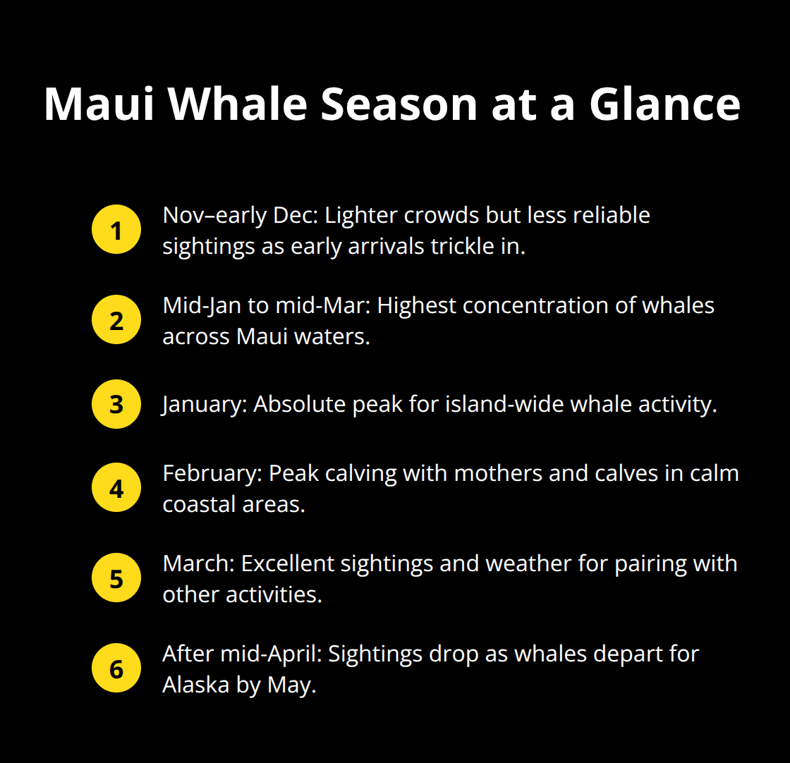 Maui Snorkel Charters | Maui Whale Watching Tours: Majestic Giants in Calm Seas Key months and what to expect for humpback whale sightings around Maui. - Maui whale watching tours