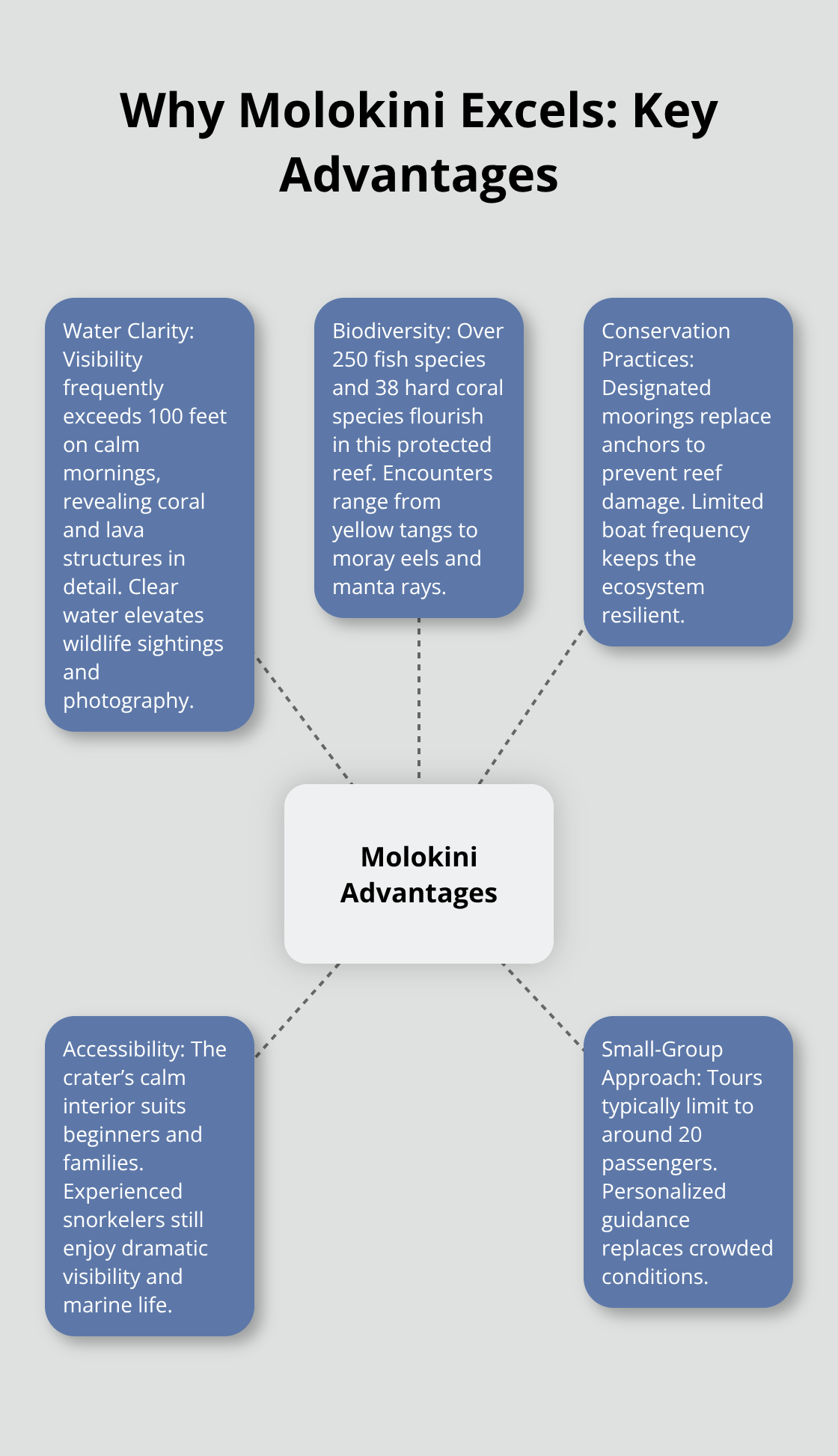 Maui Snorkel Charters | Molokini Crater Snorkeling Tour: A Memorable Maui Experience Visual map of Molokini Crater advantages: clarity, biodiversity, conservation, accessibility, and small-group experiences.