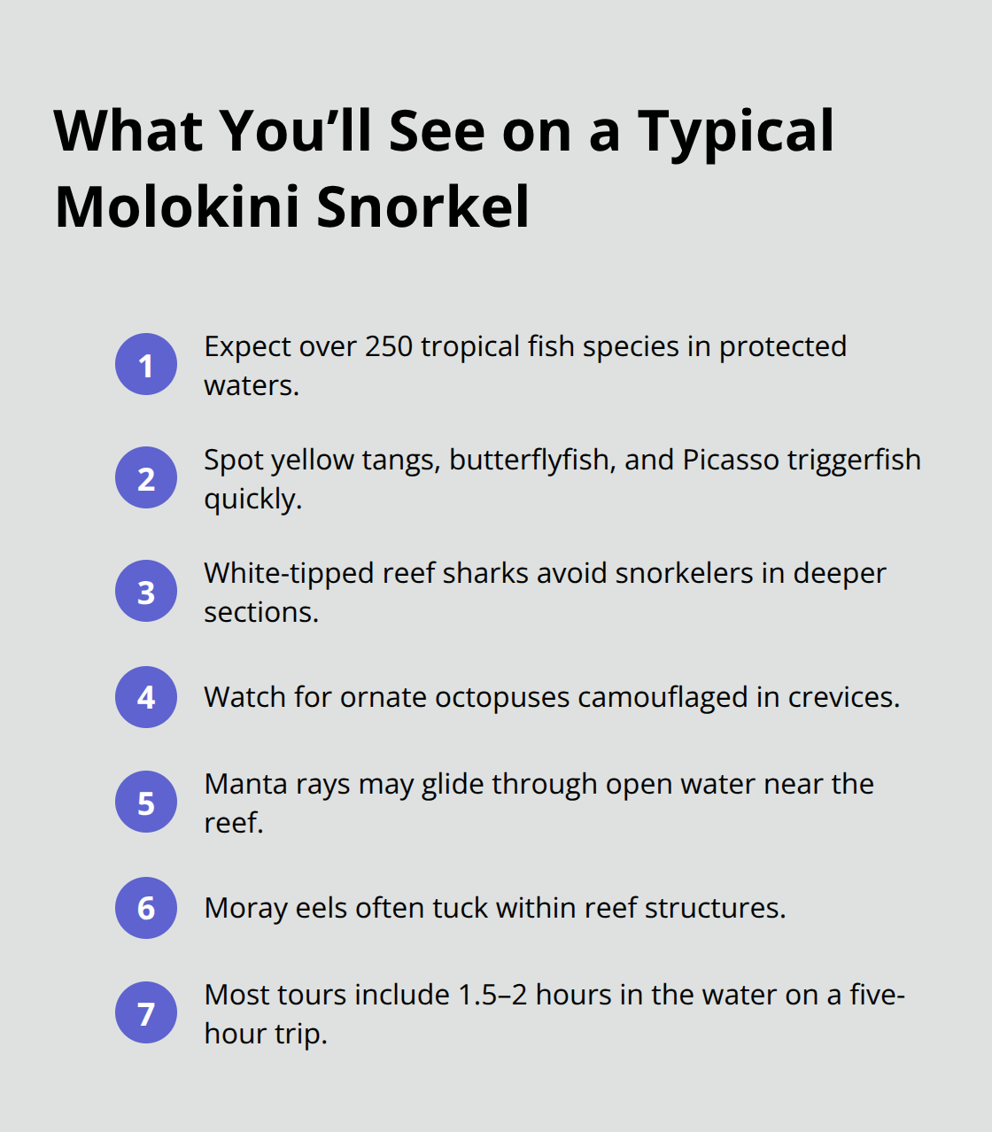 Maui Snorkel Charters | Molokini Crater Snorkeling Trip: Clear Water, Incredible Wildlife Compact list of common Molokini wildlife and in-water time during tours. - Molokini crater snorkeling trip