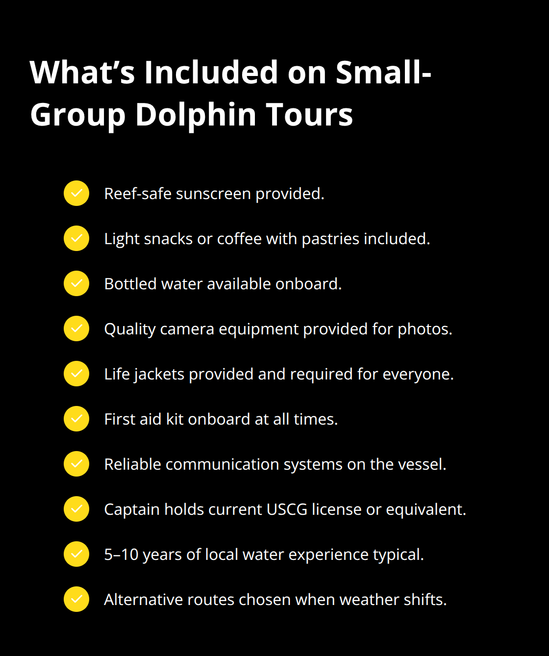 Maui Snorkel Charters | Small Group Dolphin Encounters: Personal, Up-Close Ocean Time Checklist of common amenities and safety standards on small-group dolphin tours - Small group dolphin encounters