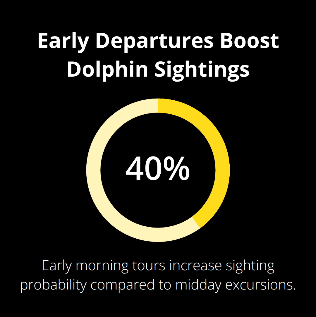 Maui Snorkel Charters | Small Group Dolphin Encounters: Personal, Up-Close Ocean Time Chart showing 40% higher dolphin sighting probability in early morning
