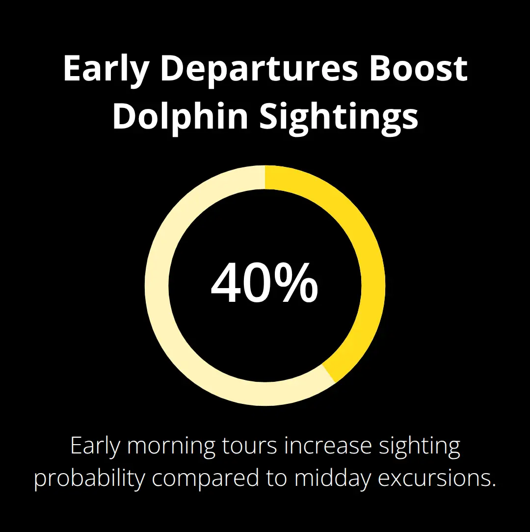 Small Group Dolphin Encounters: Personal, Up-Close Ocean Time 3 Chart showing 40% higher dolphin sighting probability in early morning