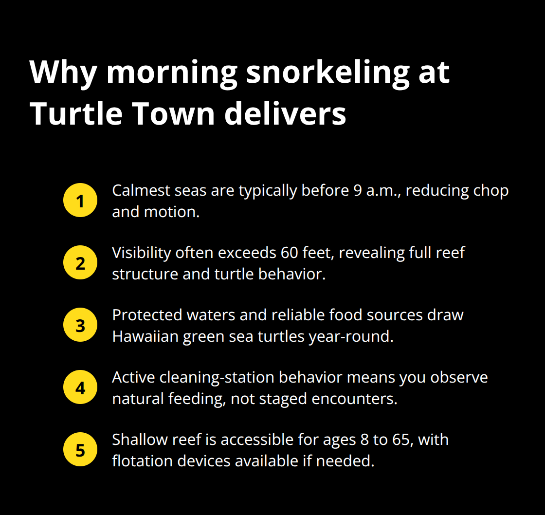 Maui Snorkel Charters | Turtle Town Morning Snorkel: Sunrise With Sea Turtles Key reasons morning conditions at Turtle Town create a better snorkel experience - Turtle Town morning snorkel