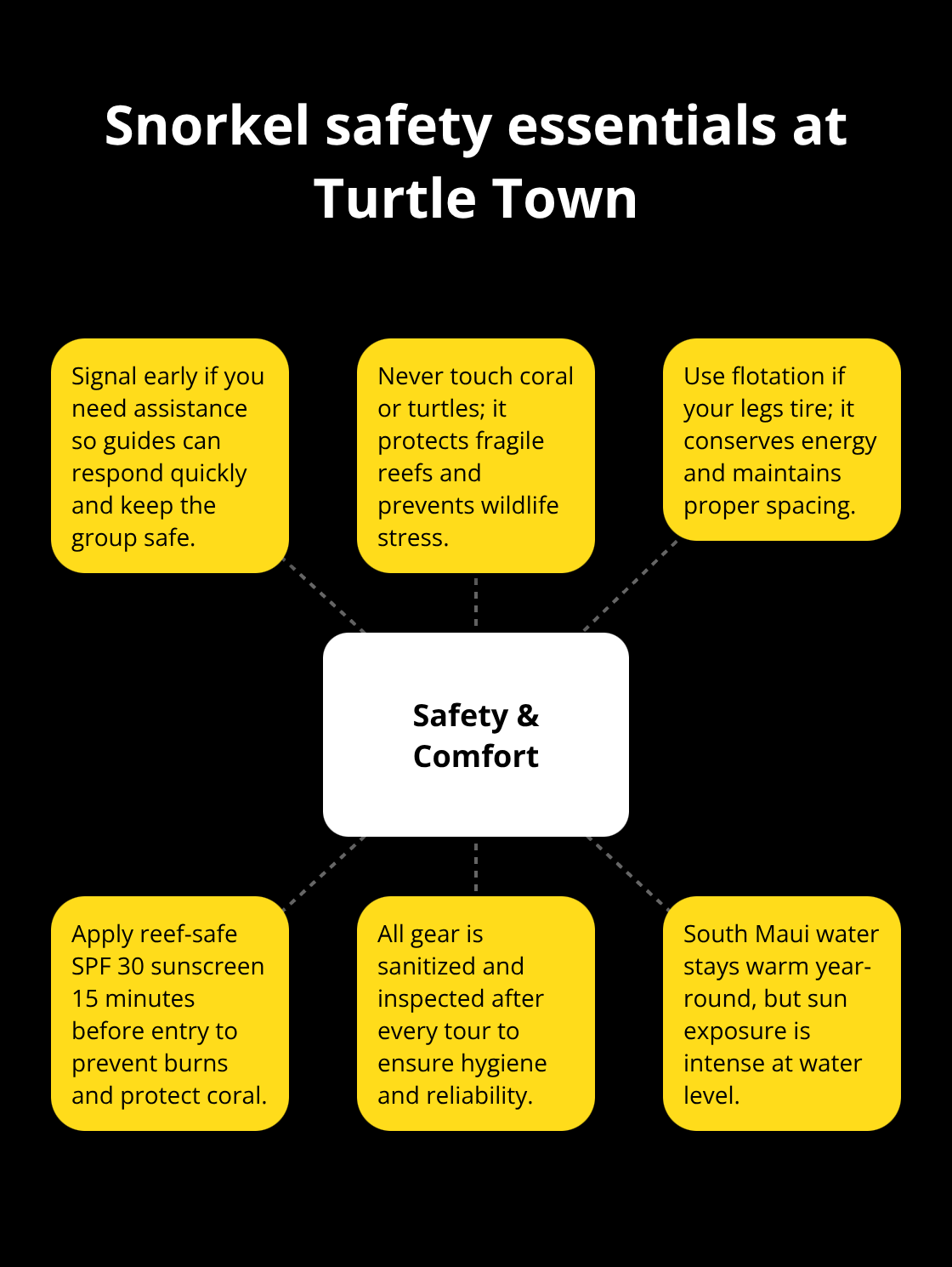 Maui Snorkel Charters | Turtle Town Morning Snorkel: Sunrise With Sea Turtles Core safety and comfort practices for a responsible Turtle Town snorkel
