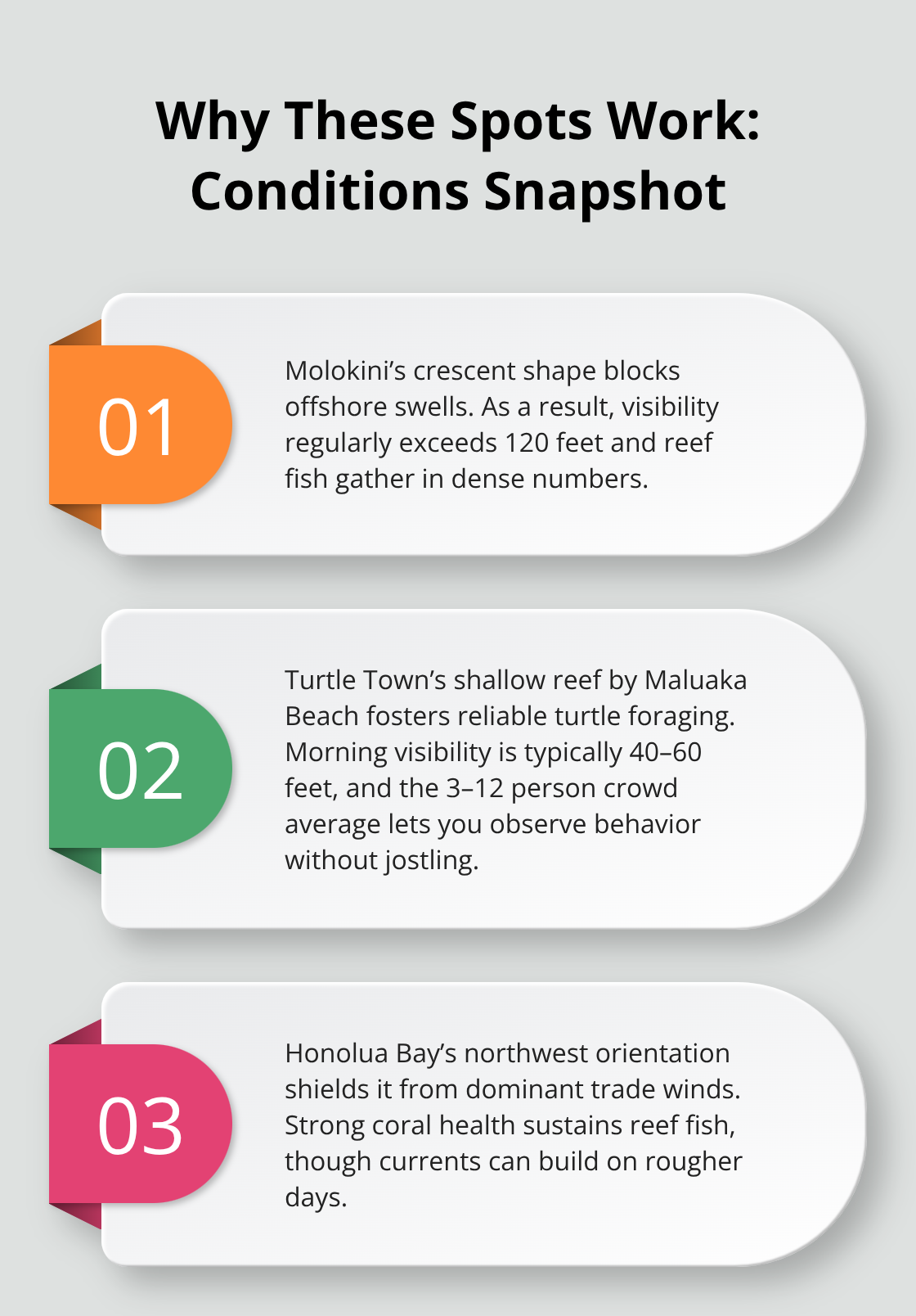 Maui Snorkel Charters | Best Places to Snorkel on Maui Overview of conditions at Molokini, Turtle Town, and Honolua Bay for Maui snorkeling - best maui snorkeling