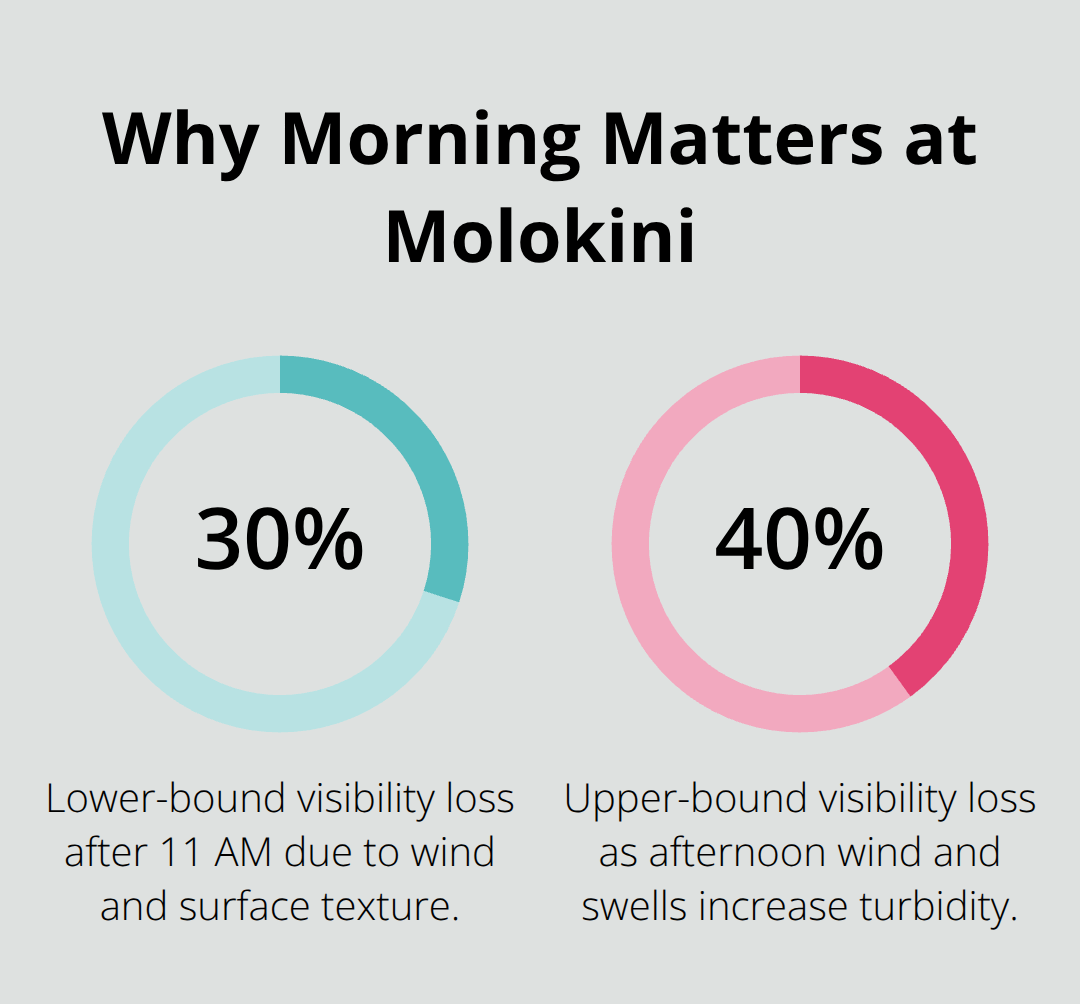 Maui Snorkel Charters | Best Maui Snorkeling Locations Chart showing 30–40% visibility reduction after 11 AM at Molokini Crater - best maui snorkeling locations