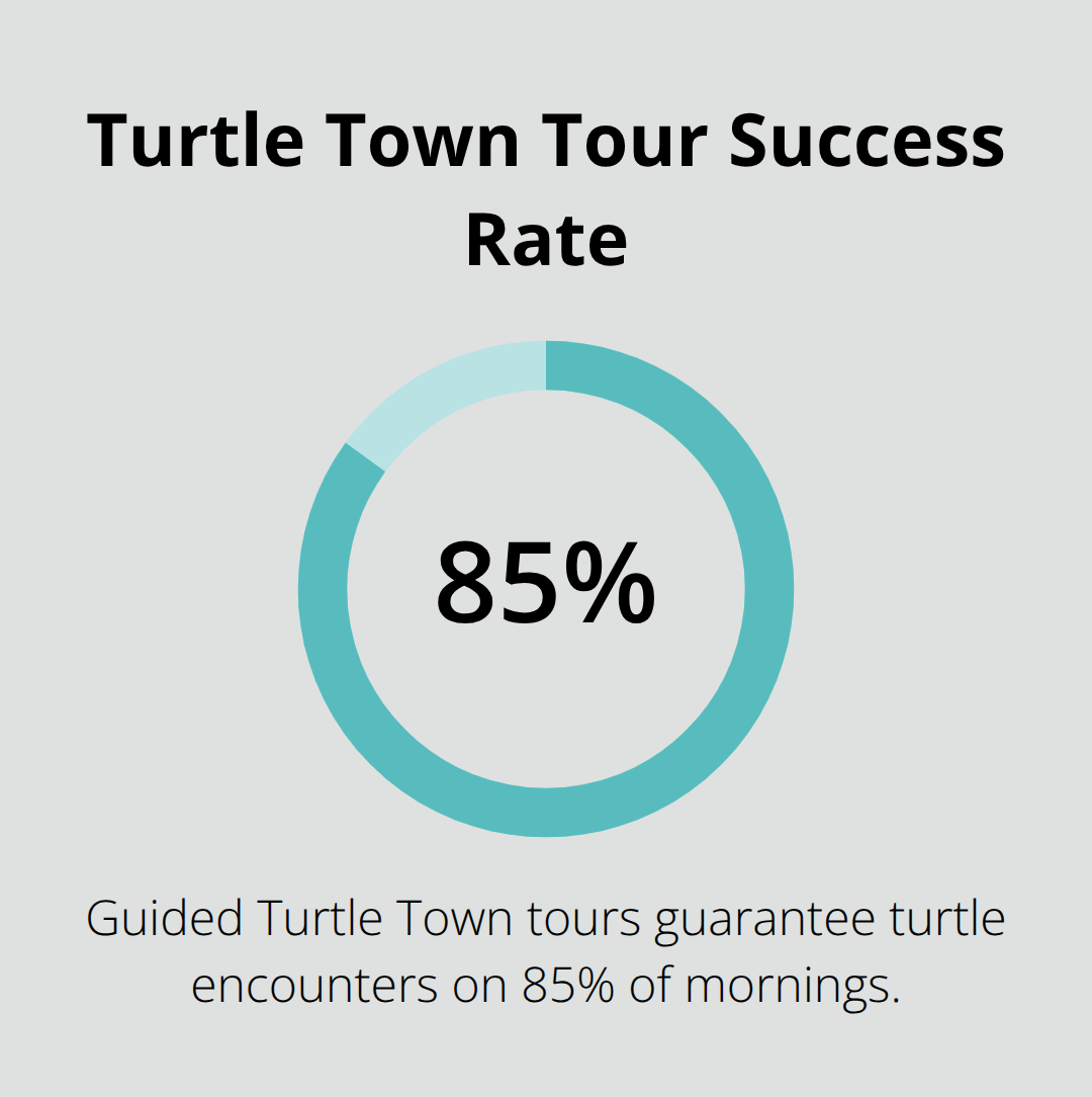 Maui Snorkel Charters | Best Maui Snorkeling Locations Chart showing 85% of mornings with guaranteed turtle encounters on guided tours - best maui snorkeling locations