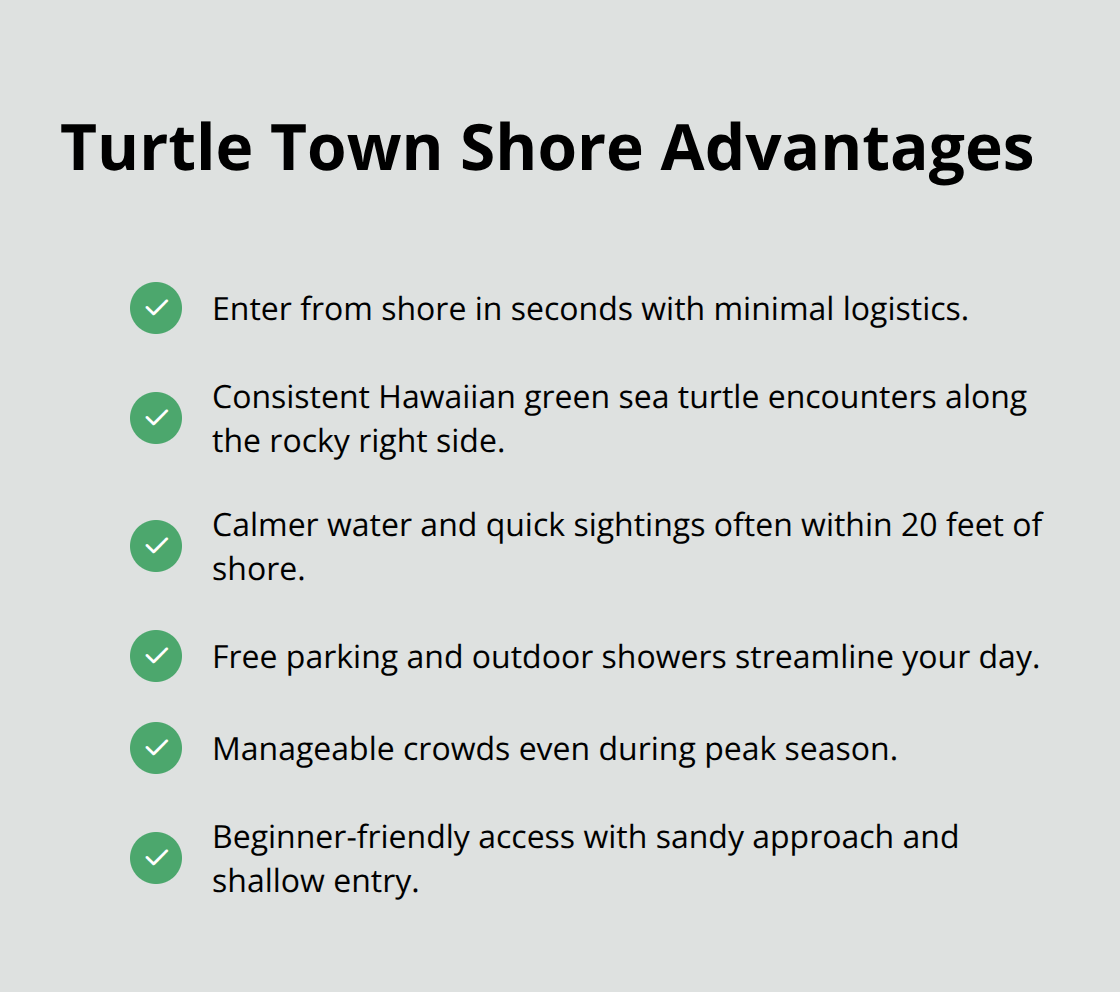 Maui Snorkel Charters | Best Maui Snorkeling Sites Benefits of snorkeling Turtle Town from shore - best maui snorkeling sites