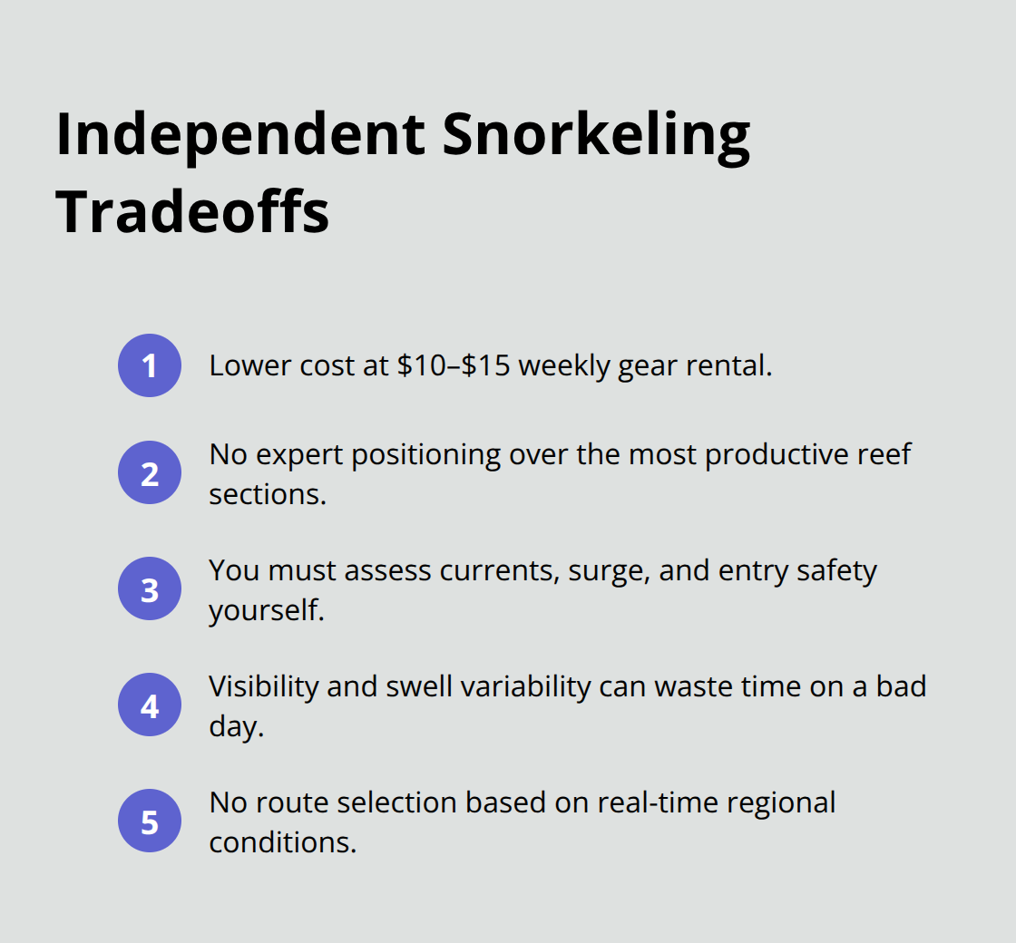 Maui Snorkel Charters | Best Maui Snorkeling Sites Key tradeoffs when snorkeling independently at Turtle Town