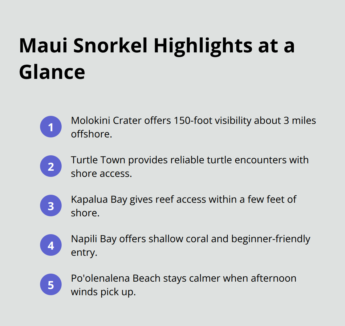 Maui Snorkel Charters | Best Snorkeling in Maui Quick list of Maui's top snorkel options and why they work - best snorkeling maui