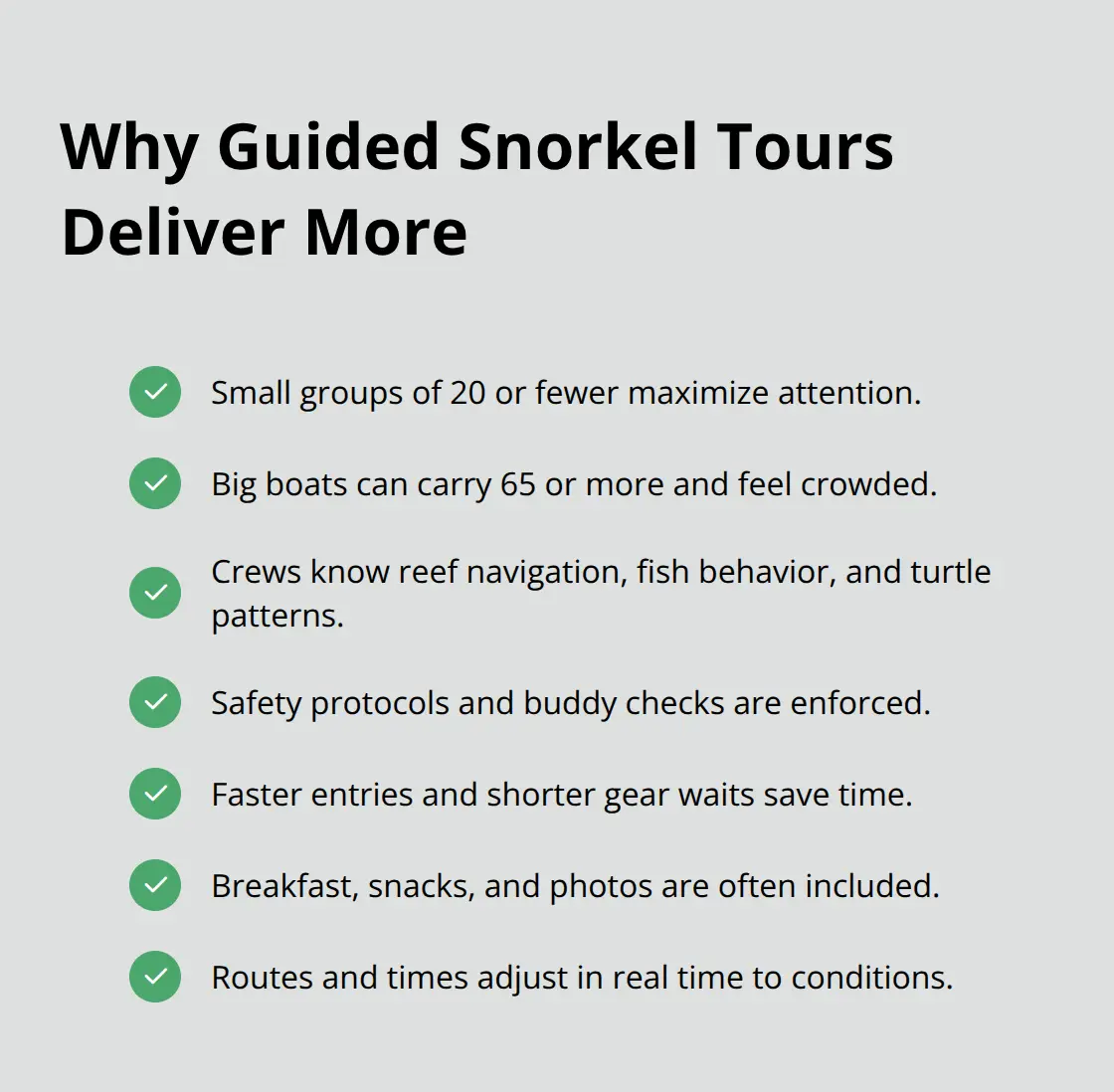 Best Snorkeling in Maui 3 Checklist of guided tour advantages in Maui - best snorkeling maui