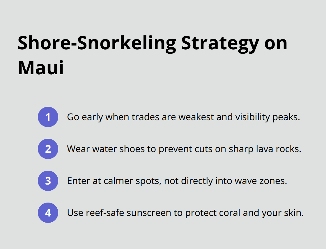 Maui Snorkel Charters | Best Snorkeling on Maui Four quick tips to maximize safety, comfort, and visibility when shore snorkeling on Maui - best snorkeling on maui
