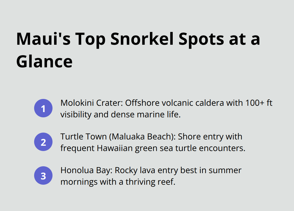 Maui Snorkel Charters | Best Snorkeling Spot on Maui Quick comparison of Molokini Crater, Turtle Town, and Honolua Bay
