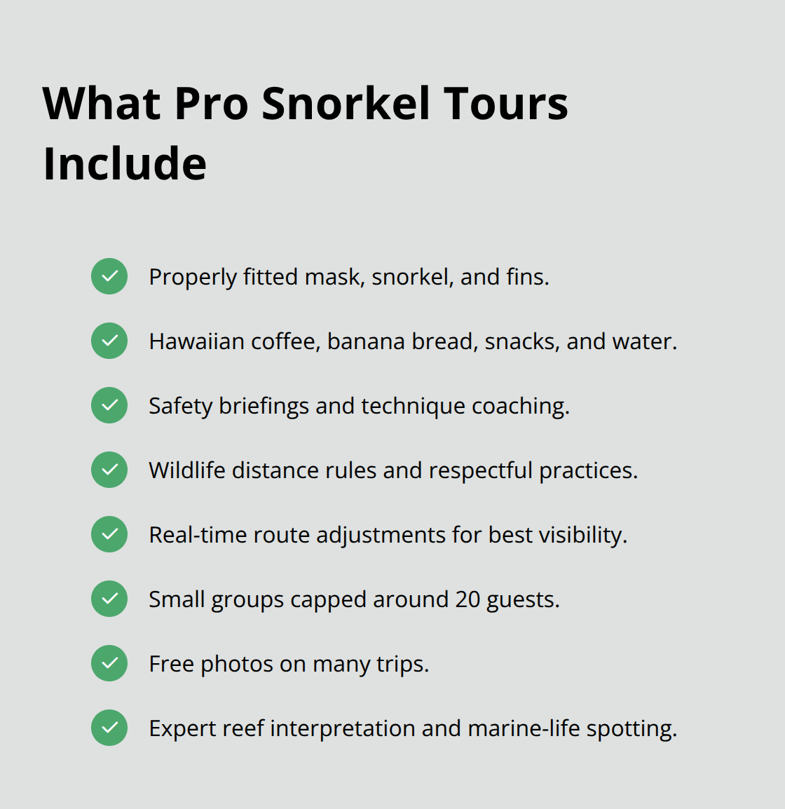 Maui Snorkel Charters | Best Snorkeling Spot on Maui Key inclusions and benefits of guided Maui snorkel tours - best snorkeling spot maui