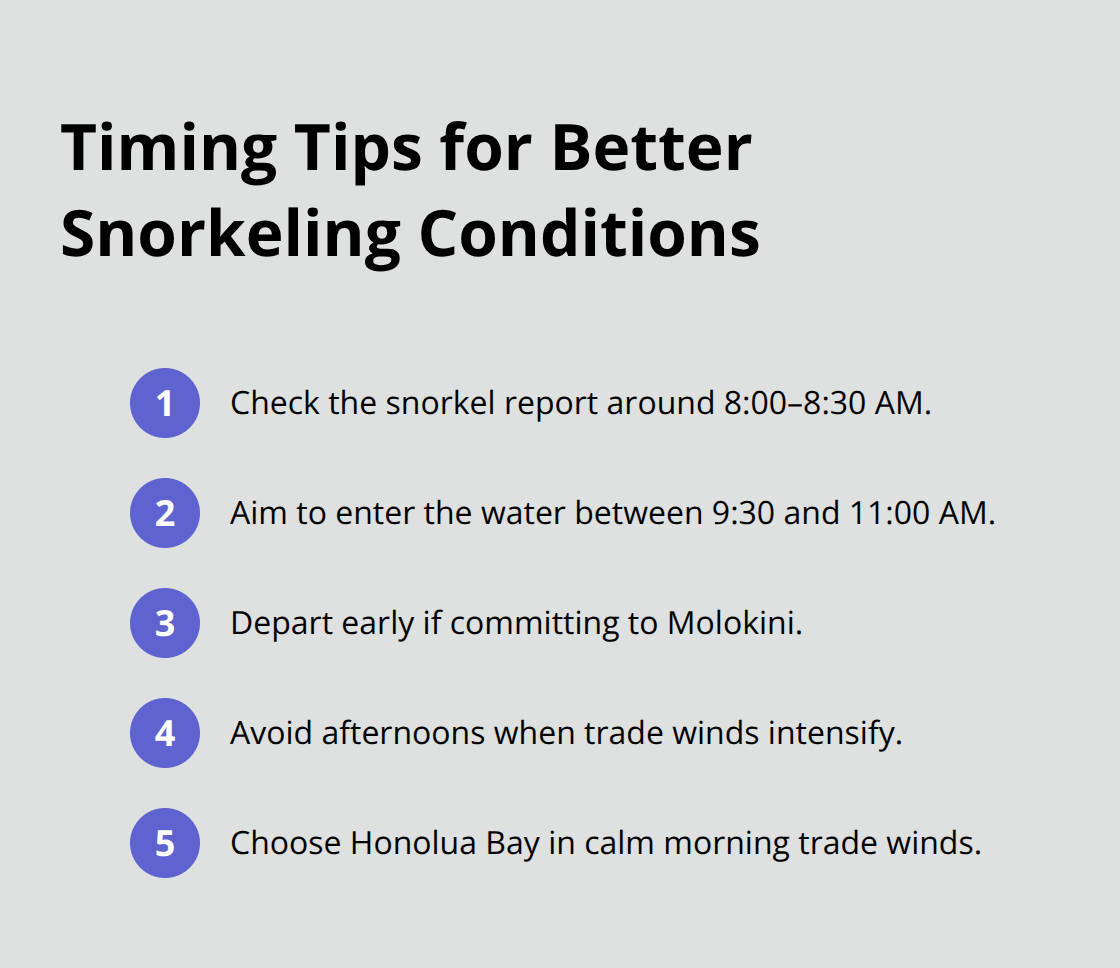 Maui Snorkel Charters | Best Snorkeling Spots on Maui Compact checklist of optimal timing strategies for Maui snorkeling. - best snorkeling spots on maui
