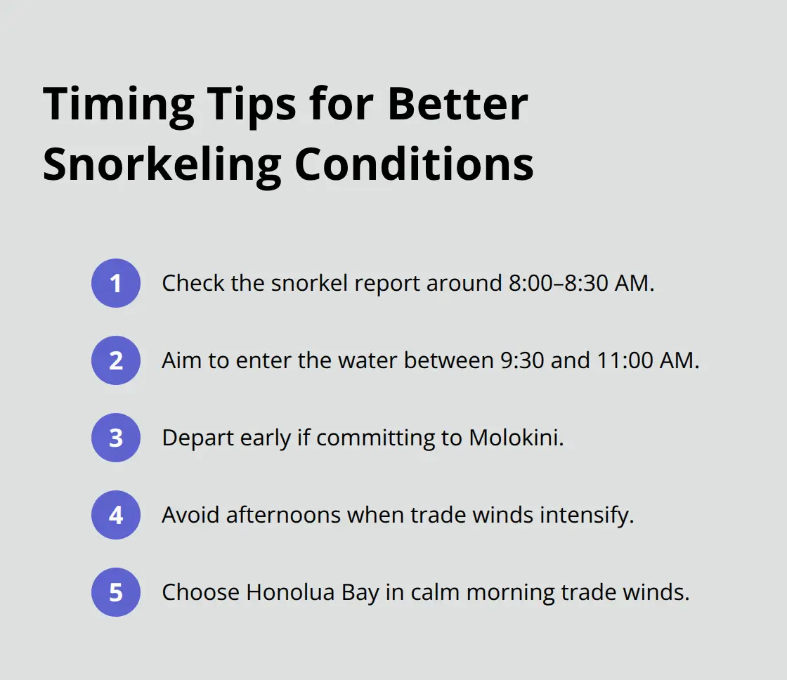 Best Snorkeling Spots on Maui 1 Compact checklist of optimal timing strategies for Maui snorkeling. - best snorkeling spots on maui