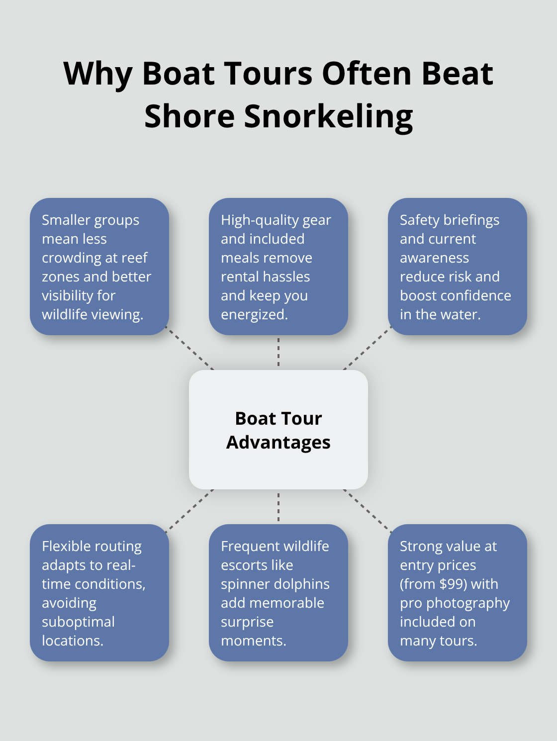 Maui Snorkel Charters | Best Snorkeling Spots on Maui Hub-and-spoke chart showing advantages of Maui boat snorkeling tours. - best snorkeling spots on maui