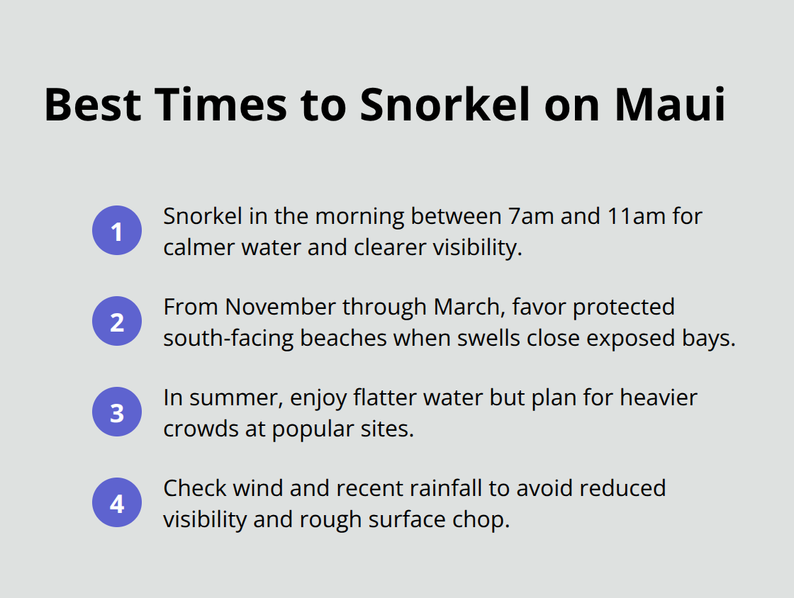 Maui Snorkel Charters | Where to Snorkel on Maui? Quick timing guide for Maui snorkeling: mornings, winter adjustments, summer crowds, and condition checks. - good snorkeling maui