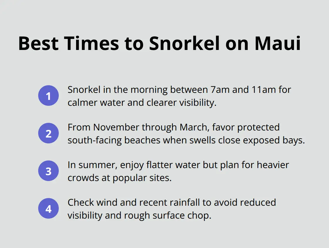 Where to Snorkel on Maui? 2 Quick timing guide for Maui snorkeling: mornings, winter adjustments, summer crowds, and condition checks. - good snorkeling maui