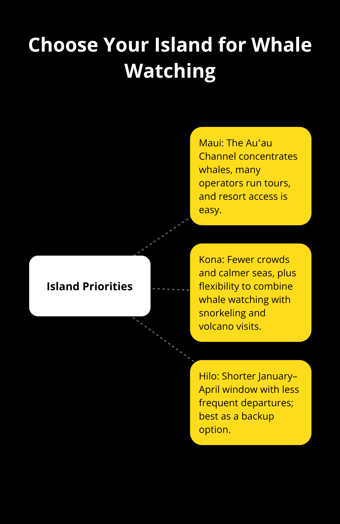 Maui Snorkel Charters | Hawaii Whale Watching Tours Hub-and-spoke diagram comparing Maui, Kona, and Hilo for Hawaii whale watching priorities. - hawaii whale watching tours