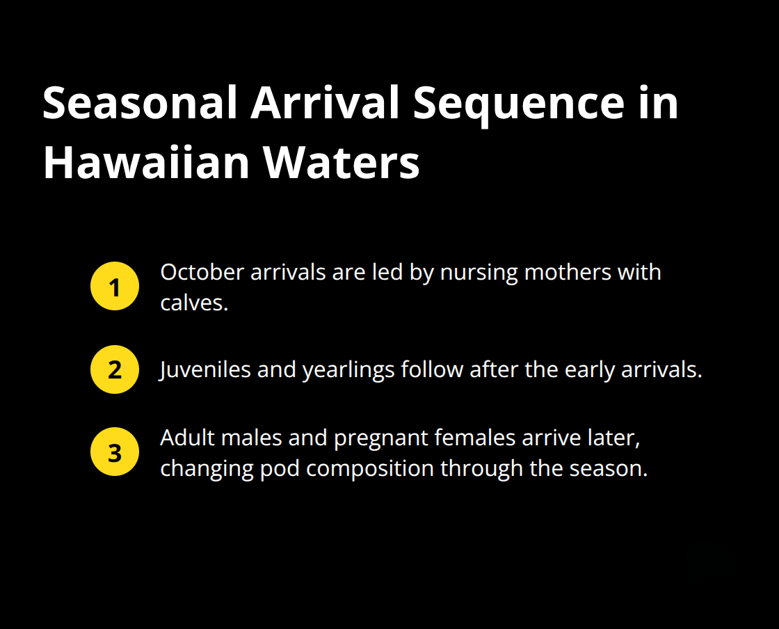 Compact list showing which humpbacks arrive first and how pod composition shifts through the season