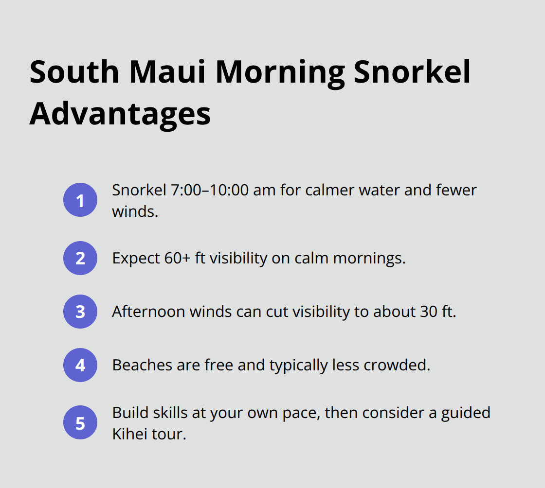 Maui Snorkel Charters | Best Snorkeling Sites on Maui Compact list of reasons mornings are best for South Maui shore snorkeling, including clarity, calm, and cost. - maui best snorkeling sites