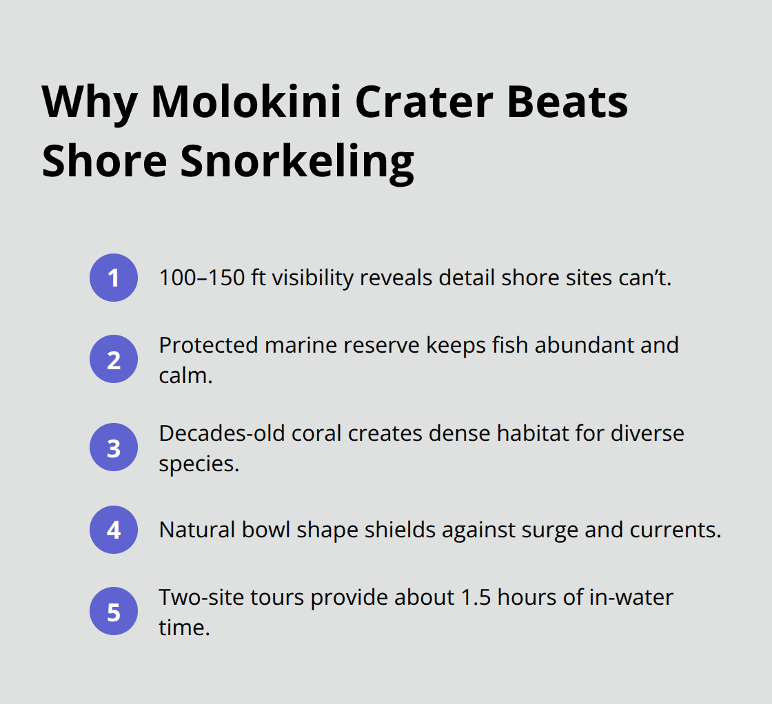 Maui Snorkel Charters | Maui Best Snorkeling Spot Key reasons Molokini Crater outperforms shore snorkeling in Maui