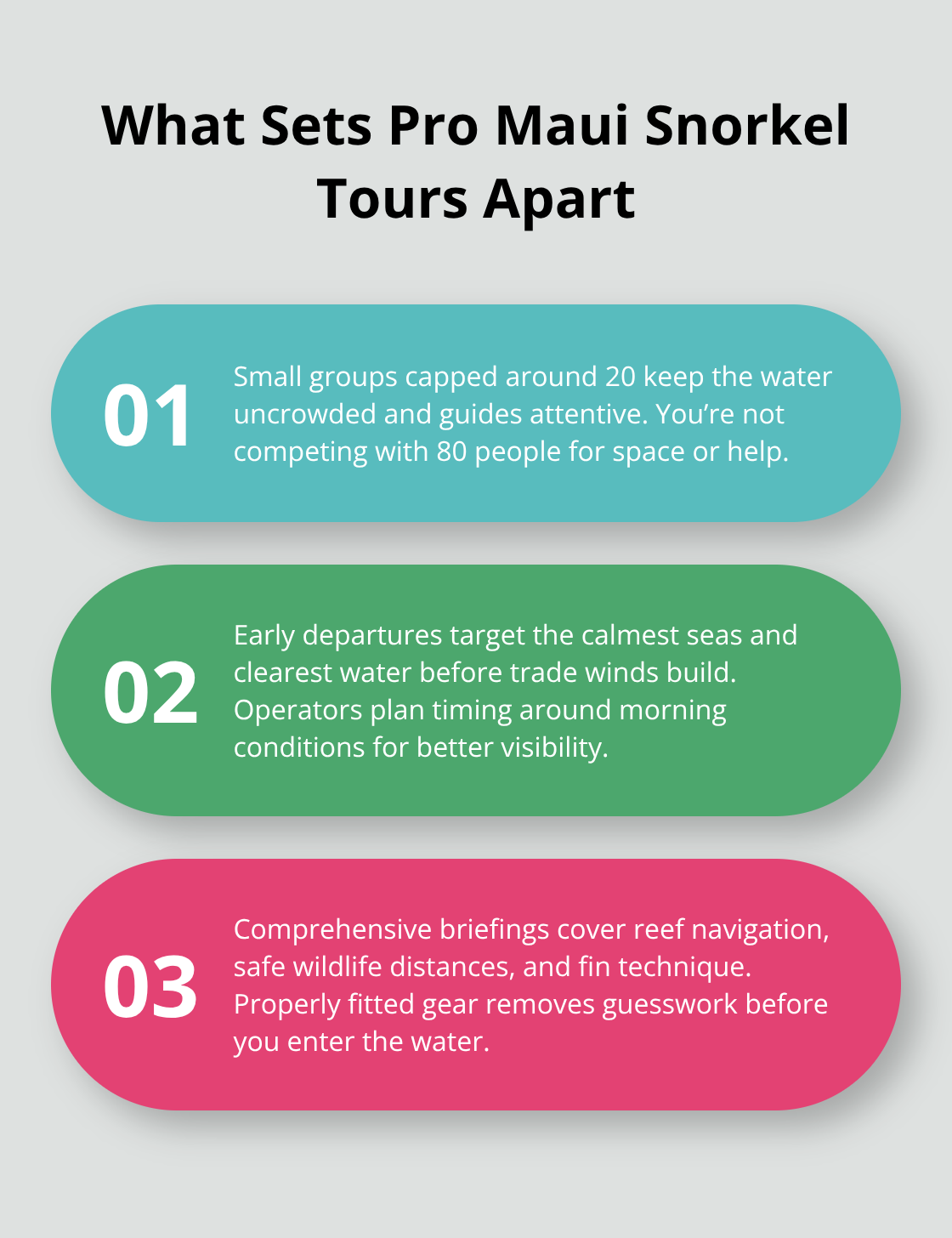Maui Snorkel Charters | Best Maui Hawaii Snorkeling Guide Three ways structured tours improve safety and sightings - maui hawaii snorkeling