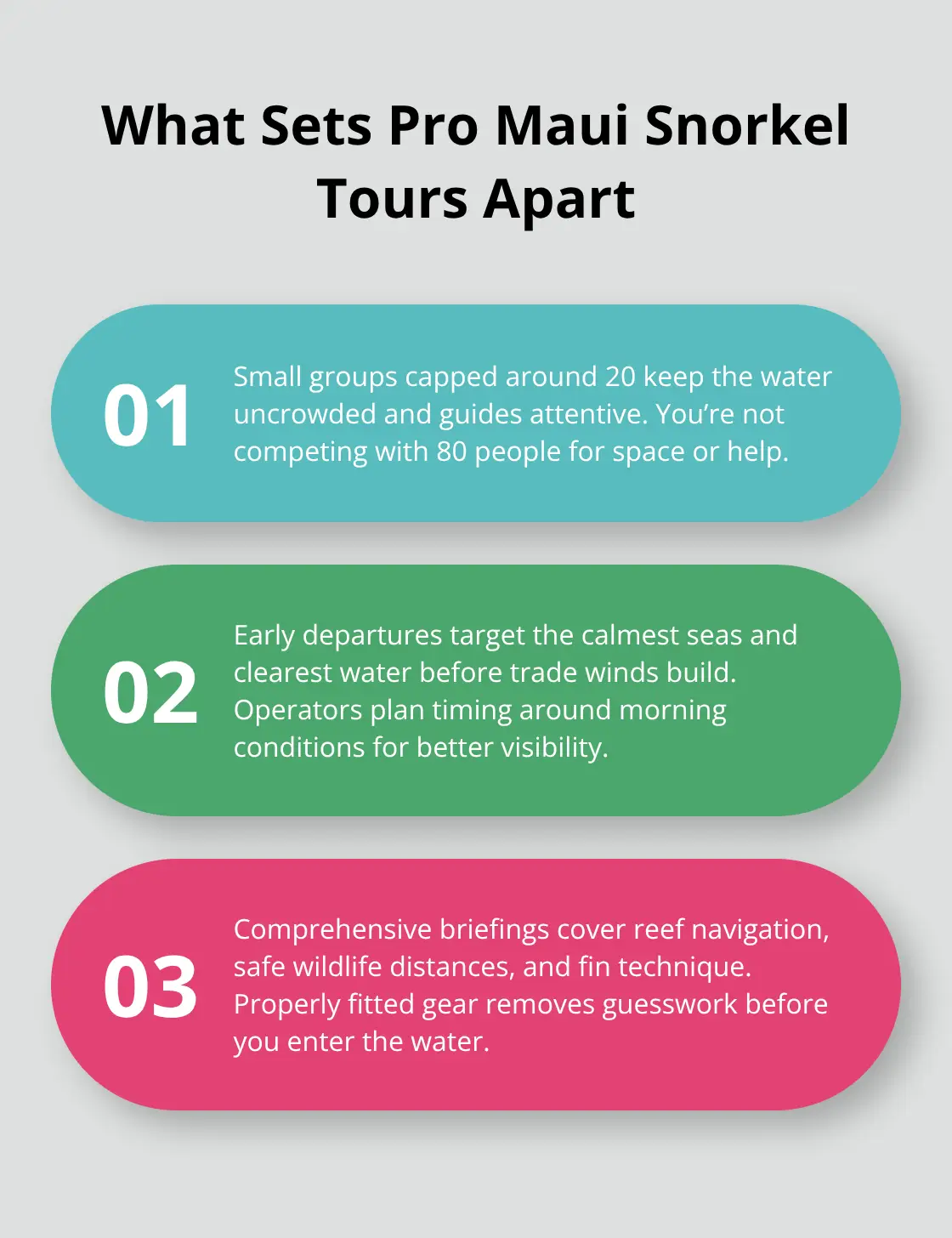 Best Maui Hawaii Snorkeling Guide 2 Three ways structured tours improve safety and sightings - maui hawaii snorkeling