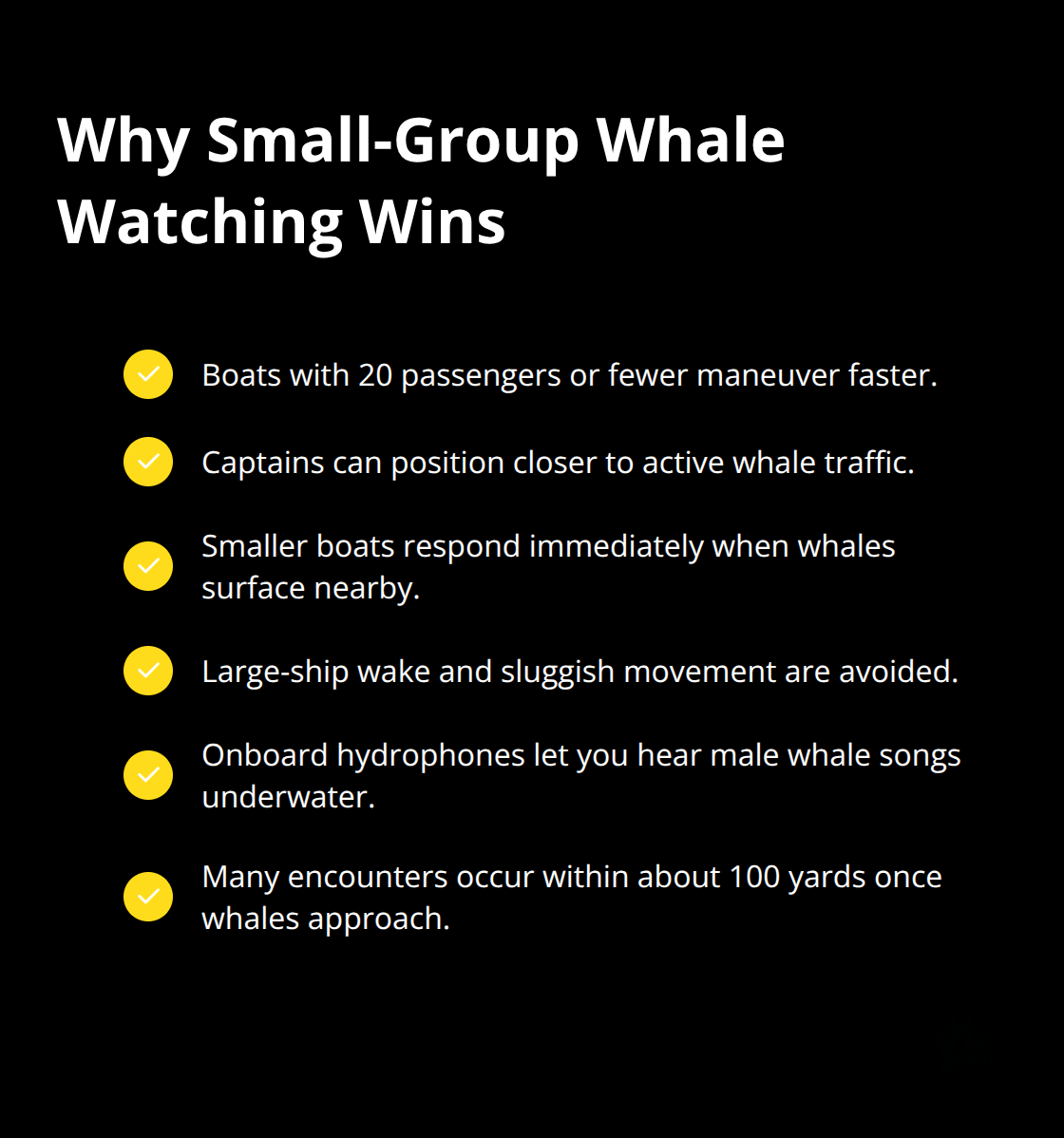 Maui Snorkel Charters | Maui Hawaii Whale Watching Checkmarked list of benefits that make small-group Maui whale tours more effective than large vessels. - maui hawaii whale watching