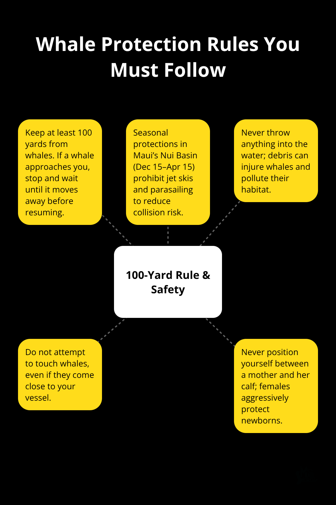 Maui Snorkel Charters | Maui Hawaii Whale Watching Hub-and-spoke diagram showing key federal whale protection rules and safe viewing practices in Maui.