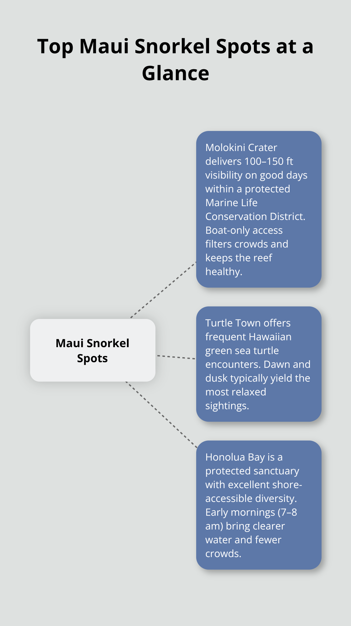 Maui Snorkel Charters | Snorkeling on Maui Island Visual overview of Molokini Crater, Turtle Town, and Honolua Bay with their standout benefits. - maui island snorkeling