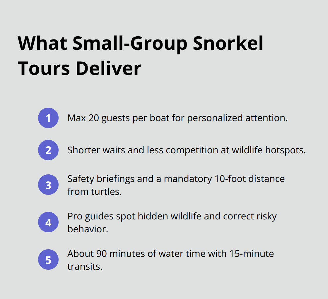 Maui Snorkel Charters | Snorkeling on Maui Island Five concise benefits you get from Maui small-group snorkeling tours.