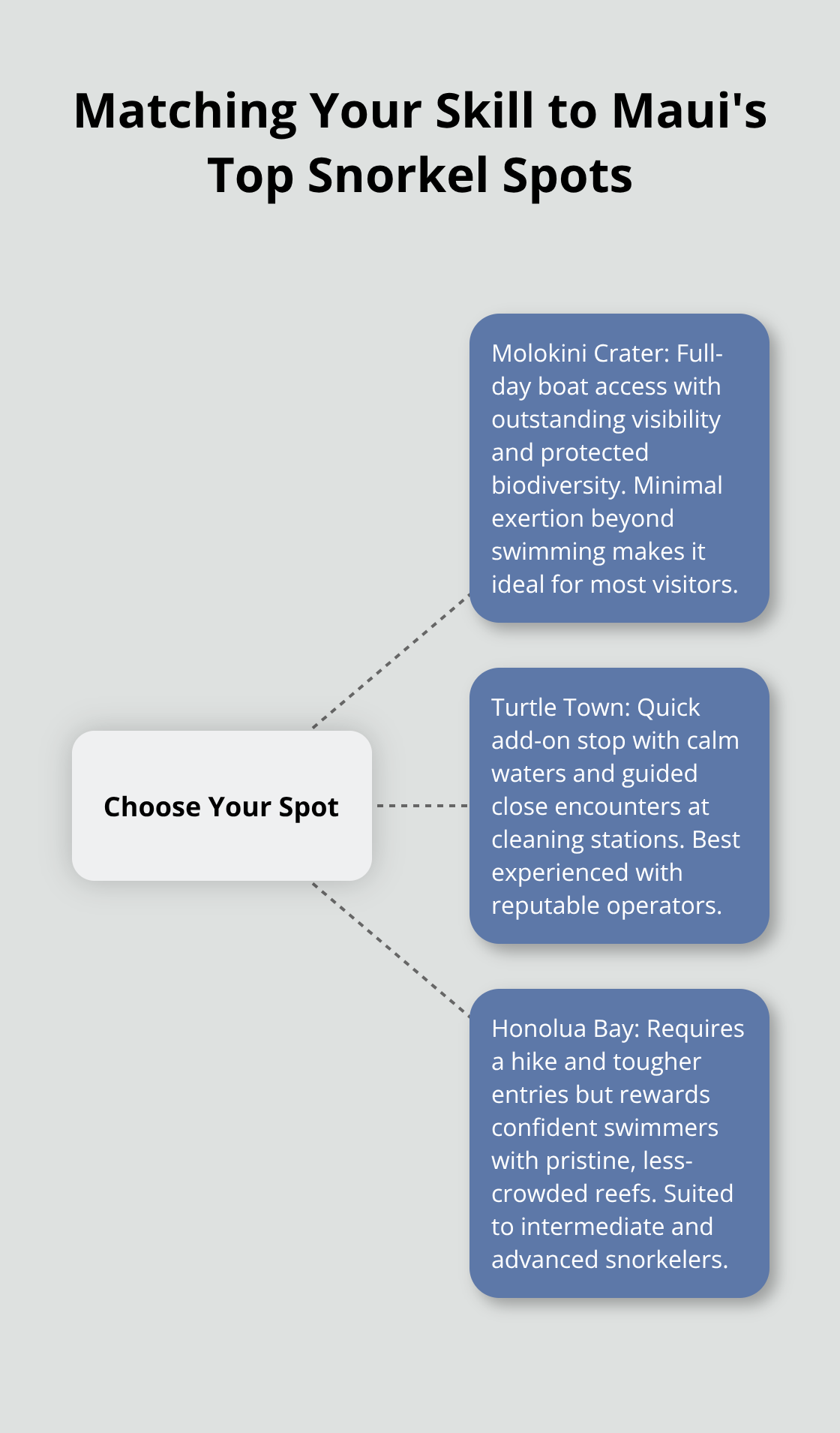 Maui Snorkel Charters | Where to Snorkel in Maui? Visual guide comparing Molokini Crater, Turtle Town, and Honolua Bay by effort and experience - maui snorkeling best